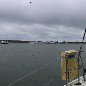 2025 07 31 Grau in Grau - Abhängen