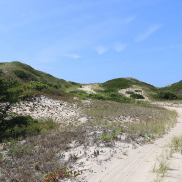 2025 08 12 Heiße Düne