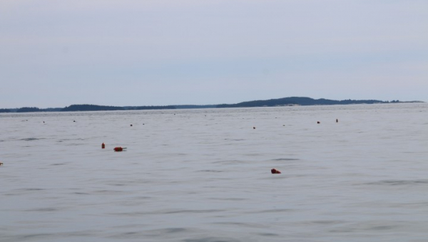 2025 09 08 Nordwärts