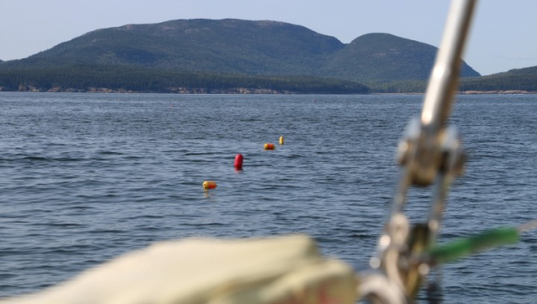 2025 09 09 Endstation Bar Harbor – Acadia Nationalpark