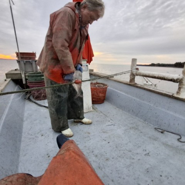 2025 10 26 Fischer-Man 