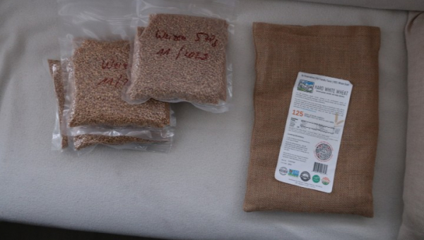 2025 11 19 Büro-Tag