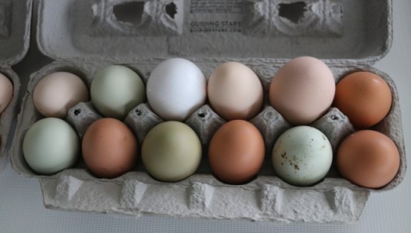 2025 11 20 Oberdeck reinigen