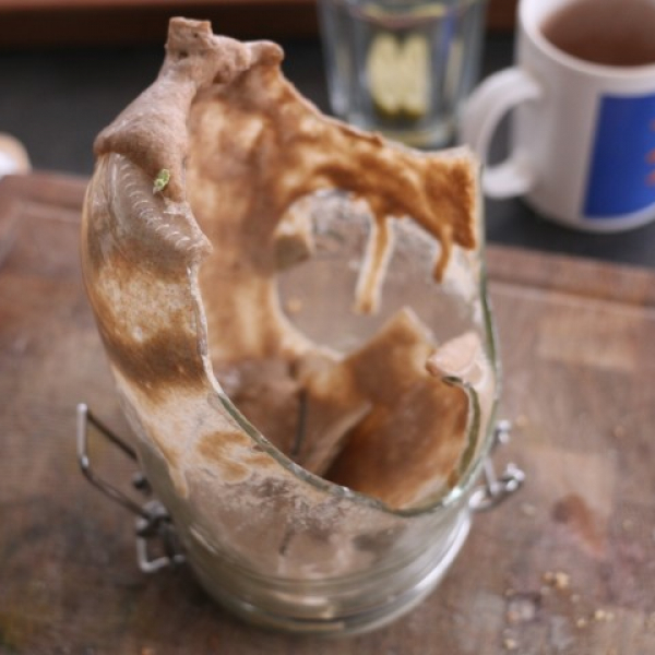 2025 11 21 Wagen abgeben, Alisha an Bord!