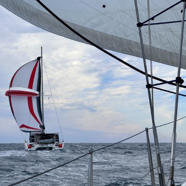 2025 12 05 Nicht nur an Bord