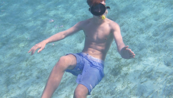 2025 12 28 Wardewick Wells Cay