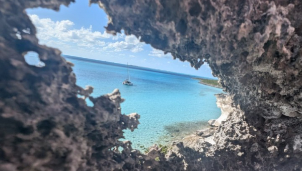 2025 12 31 Bitter Cay - Iguanas