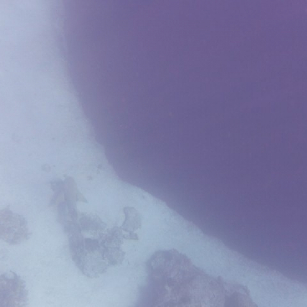 2026 01 03 Blue Hole,  VITAMIN SEA, Nassau