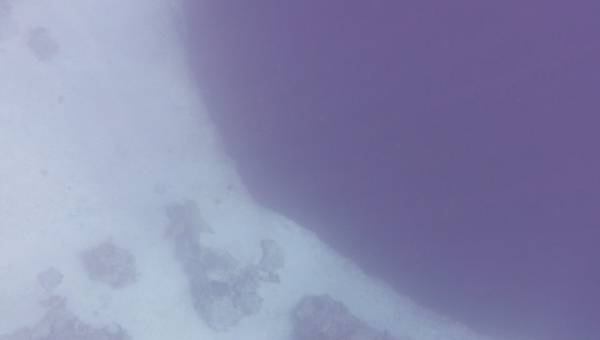 2026 01 03 Blue Hole,  VITAMIN SEA, Nassau