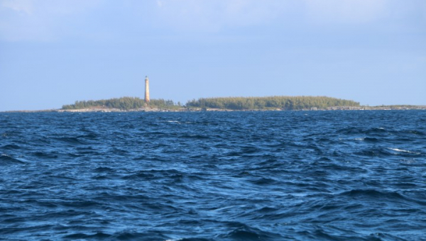 2026 02 18 In den Golfstrom