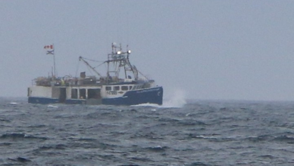 2026 07 25 Segel-Manöver